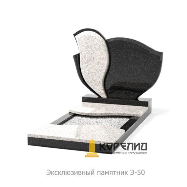 Эксклюзивный комплекс Э-50