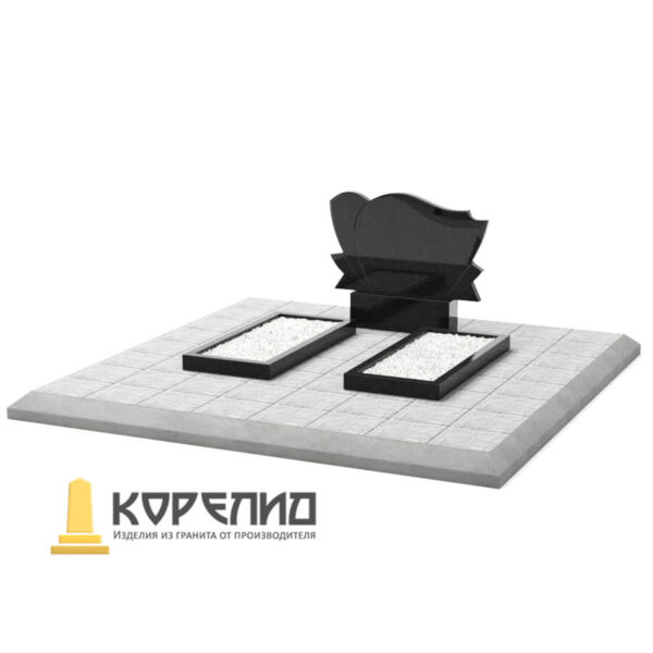 Двойной Д-29